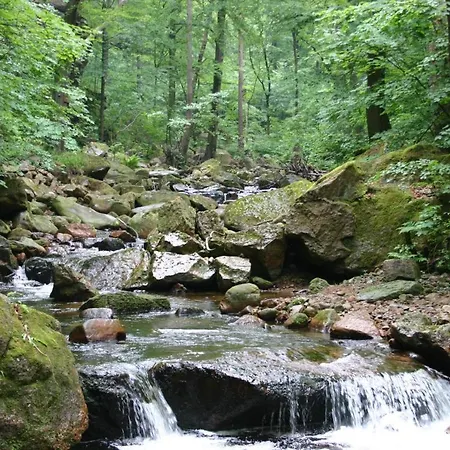 Roligio Lejlighed Bad Sachsa