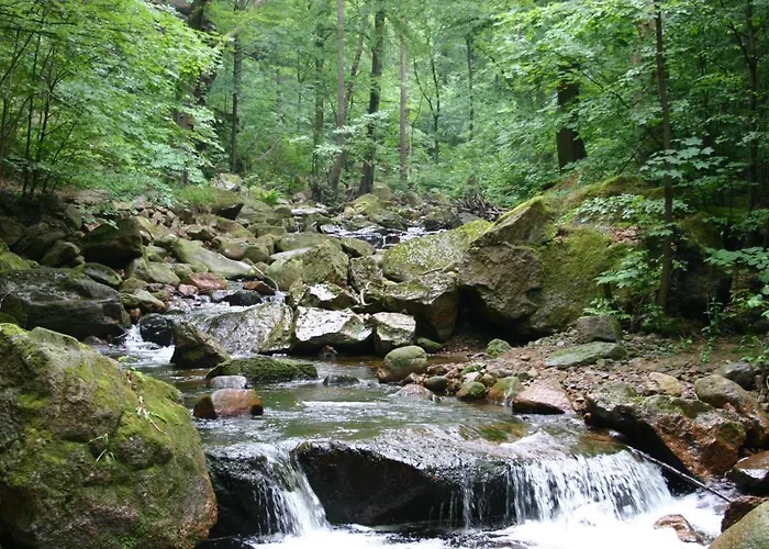 Roligio Daire Bad Sachsa